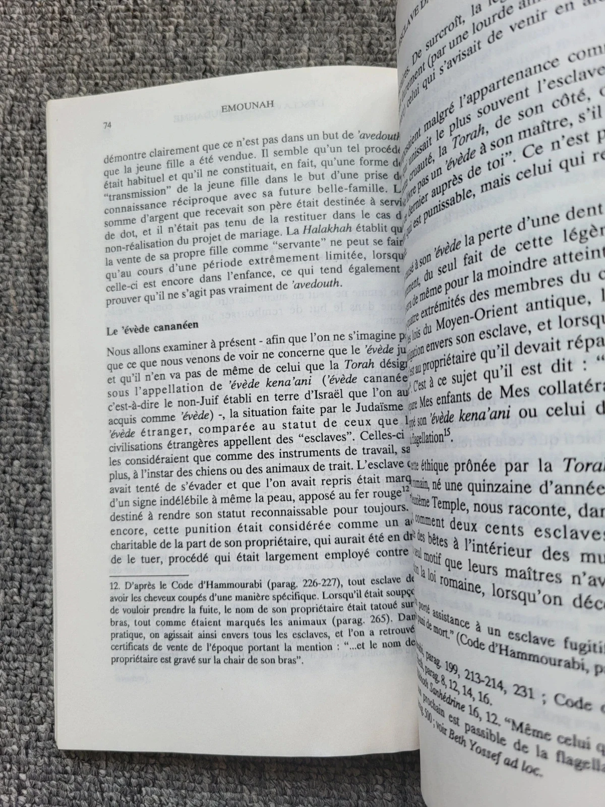 Livre Emounah n° 18 : Pensamento judaico, Torá, Judaísmo (Rav Grodzienski) - Raro – photo 7